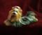Art: Silk Furred Yorkie by Artist Camille Meeker Turner