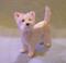Art: Silk Furred Westie by Artist Camille Meeker Turner
