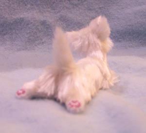 Detail Image for art Silk Furred Westie Detail Image for art Silk Furred Westie