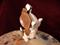 Art: Begging Basset by Artist Camille Meeker Turner