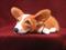 Art: Corgi Gets Time Out by Artist Camille Meeker Turner