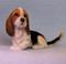 Art: Basset Hound by Artist Camille Meeker Turner