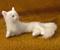 Art: Fluffy White Cat by Artist Camille Meeker Turner