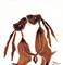 Art: HAND IN HAND p105 by Artist Dawn Barker