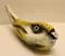 Art: Horatio by Artist Windi Rosson
