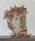 Art: Bird Brain by Artist Ruth Edward Anderson