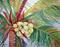 Art: Sun ripened Coconuts - sold by Artist Ulrike 'Ricky' Martin