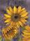 Art: Morning Sunflower by Artist Aisyah Ang