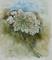 Art: Queen Anne by Artist Louise Hendry Womack