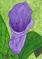 Art: Calla Lilly by Artist Dee Turner