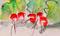 Art: Five Red Radish by Artist Delilah Smith