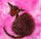 Art: CHEEKY CAT c184 by Artist Dawn Barker