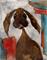 Art: BROWN HARE PEEKING h1528 by Artist Dawn Barker
