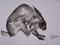 Art: SCRATCHING HARE h827 by Artist Dawn Barker