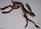 Art: LEAPING HARE h831 by Artist Dawn Barker