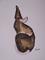 Art: RATTY by Artist Dawn Barker