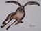 Art: RUNNING HARE h840 by Artist Dawn Barker