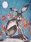 Art: HARE h852 by Artist Dawn Barker