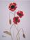 Art: POPPIES p109 by Artist Dawn Barker