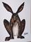 Art: HARE h866 by Artist Dawn Barker