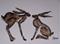 Art: HARES (Could This be Love?) h878 by Artist Dawn Barker