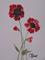 Art: POPPIES  p115 by Artist Dawn Barker