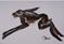 Art: LITTLE RUNNING HARE h882 by Artist Dawn Barker