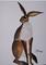 Art: PROUD HARE h884 by Artist Dawn Barker