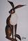 Art: PROUD HARE h893 by Artist Dawn Barker