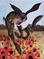 Art: POPPY HARE  by Artist Dawn Barker