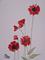 Art: POPPIES p113 by Artist Dawn Barker