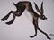 Art: LEAPING HARE h899 by Artist Dawn Barker