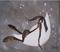 Art: HARE IN THE MOON h903 by Artist Dawn Barker