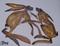 Art: BOXING HARES h910 by Artist Dawn Barker
