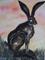Art: SUNSET HARE h913 by Artist Dawn Barker