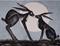 Art: HARES IN THE MOONLIGHT h919 by Artist Dawn Barker