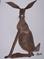 Art: HARE h931 by Artist Dawn Barker