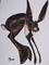 Art: HARE PASSING BY h936 by Artist Dawn Barker