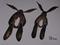 Art: HARE BEHINDS h939 by Artist Dawn Barker