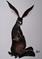 Art: WATCHING HARE h951 by Artist Dawn Barker