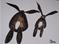 Art: HARE BEHINDS h956 by Artist Dawn Barker