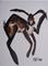 Art: BROWN HARE IN A HURRY h972 by Artist Dawn Barker