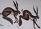 Art: CATCH ME IF YOU CAN h978 by Artist Dawn Barker
