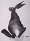 Art: GREY HARE h981 by Artist Dawn Barker