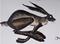 Art: RUNNING HARE h982 by Artist Dawn Barker