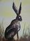 Art: TWILIGHT HARE h986 by Artist Dawn Barker