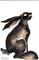 Art: LITTLE HARE h1001 by Artist Dawn Barker