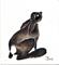 Art: LITTLE BROWN HARE h1030 by Artist Dawn Barker