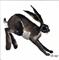 Art: HOPPITY HARE h1042 by Artist Dawn Barker
