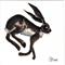 Art: HOPPITY HARE h1043 by Artist Dawn Barker